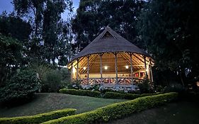 Itambira Island, Seeds Of Hope