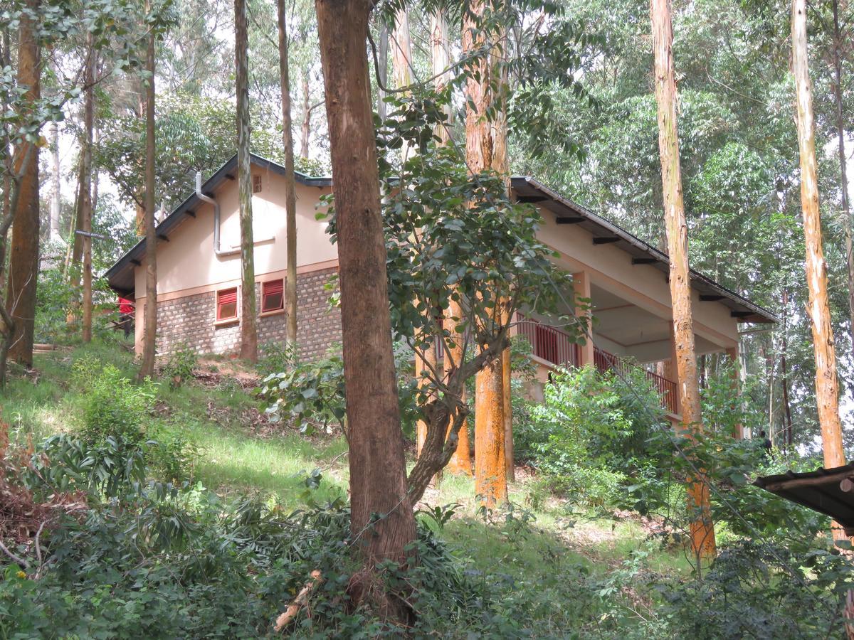 Itambira Island, Seeds Of Hope Kabale Exterior photo