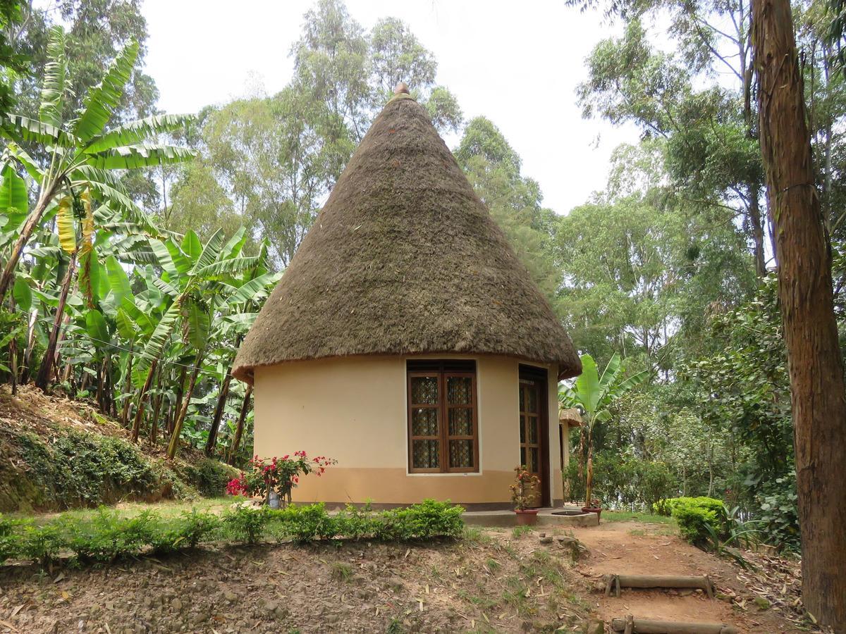 Itambira Island, Seeds Of Hope Kabale Exterior photo